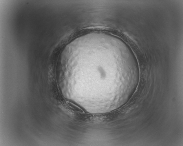 X0000073841351200608241006