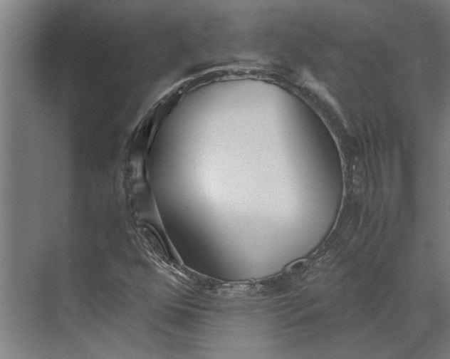 X0000073841352200608241006