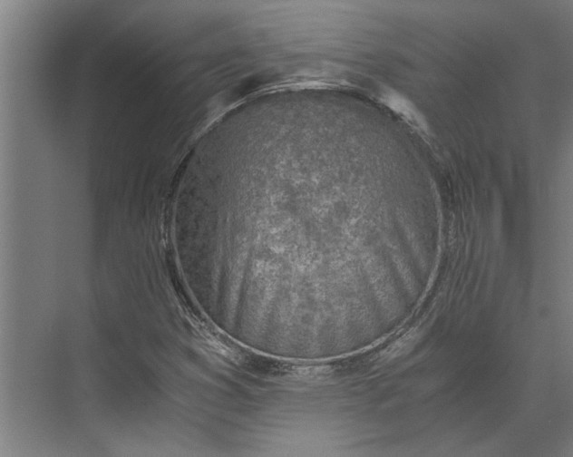 X0000073841353200608241006