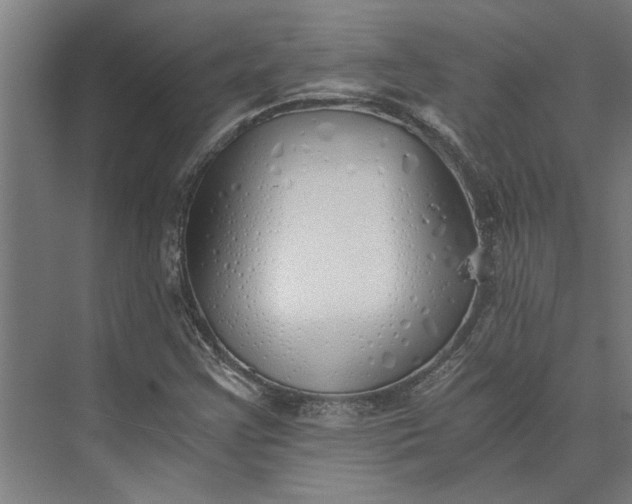 X0000073841355200608241006