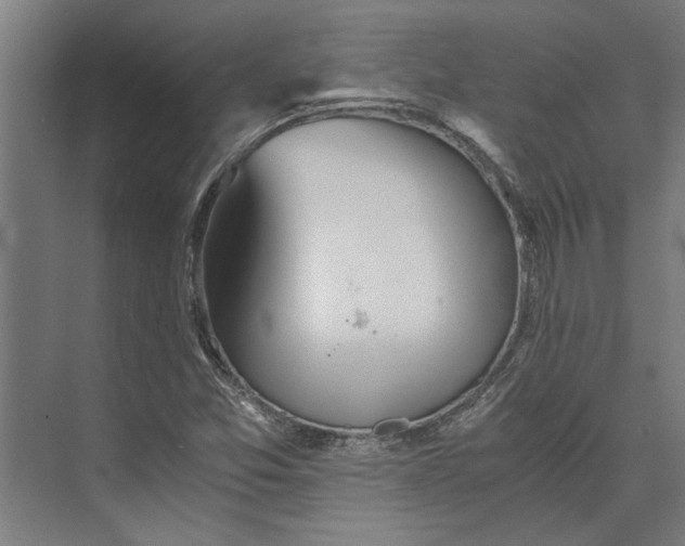 X0000073841357200608241006