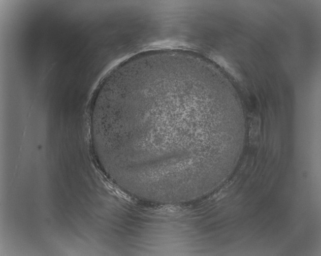 X0000073841358200608241006