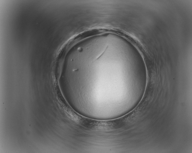 X0000073841359200608241006