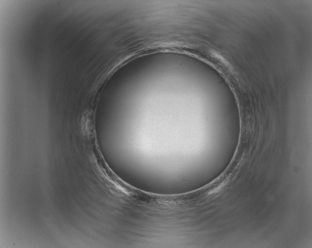 X0000073841361200608241006