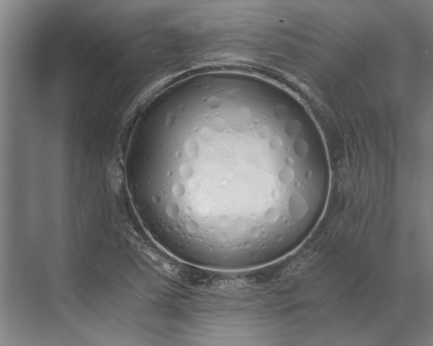 X0000073841363200608241006