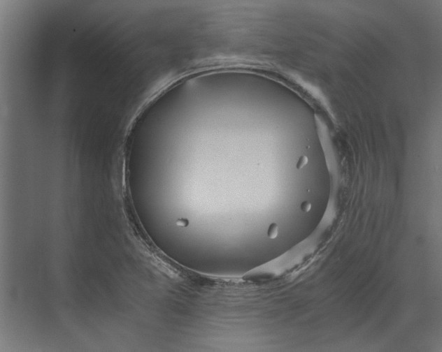 X0000073841365200608241006