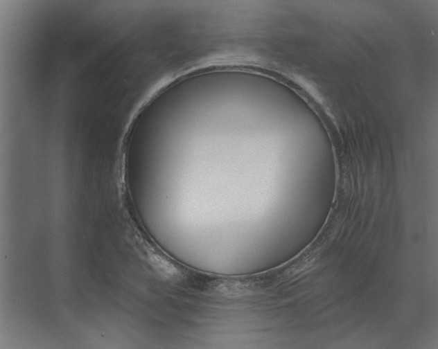 X0000073841366200608241006