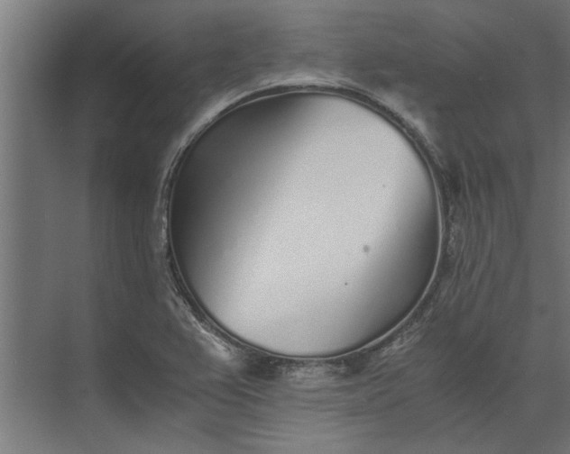 X0000073841367200608241006