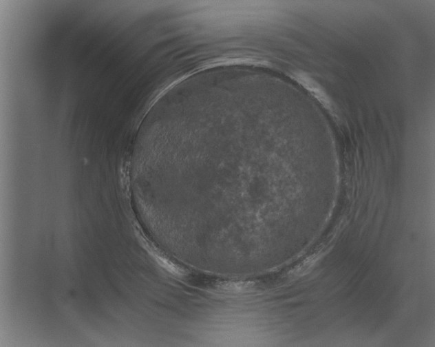 X0000073841369200608241006