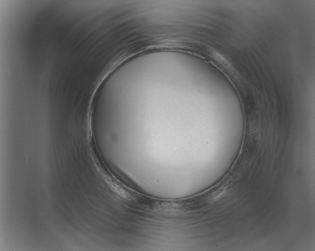 X0000073841370200608241006