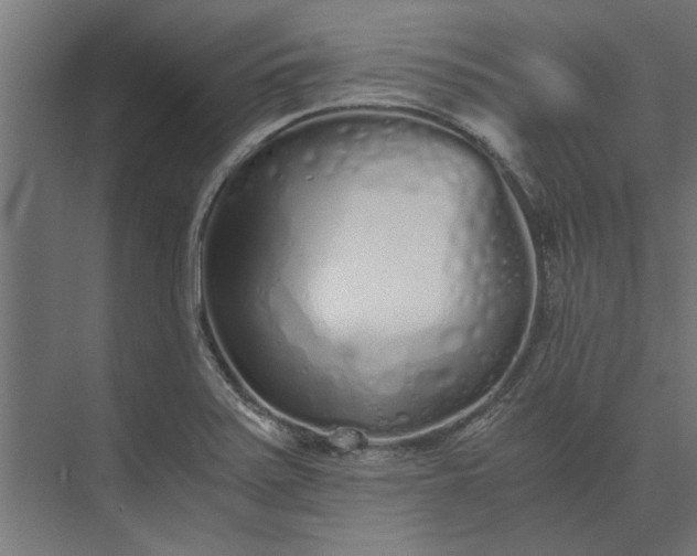 X0000073841371200608241006