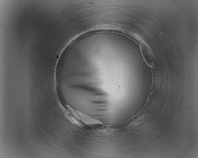 X0000073841372200608241006