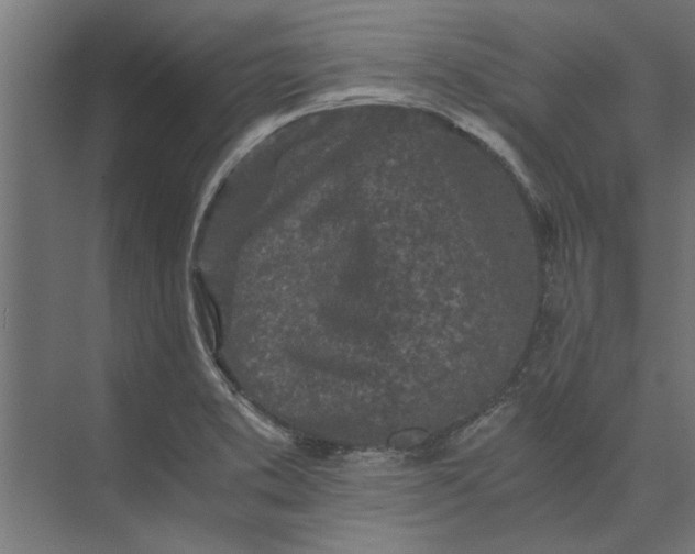 X0000073841373200608241006