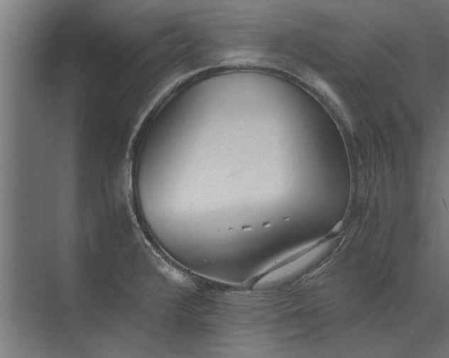 X0000073841376200608241005