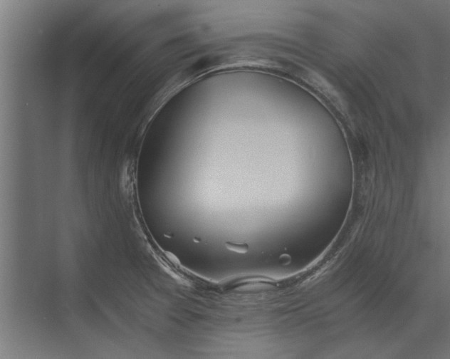 X0000073841377200608241005