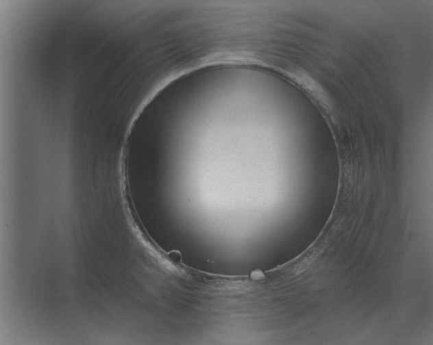 X0000073841382200608241005