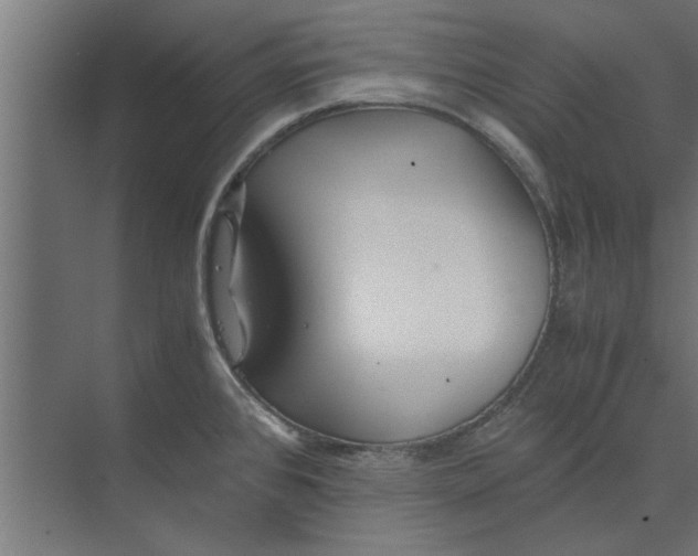 X0000073841384200608241005