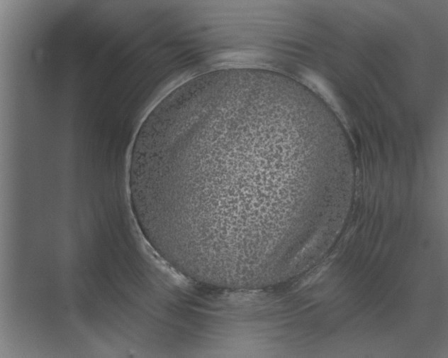 X0000073841386200608241005