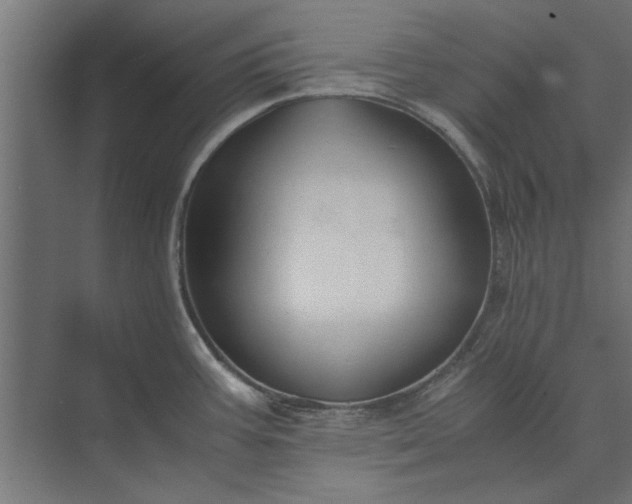 X0000073841387200608241005