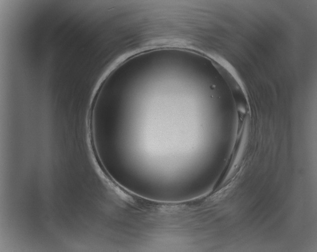 X0000073841389200608241005