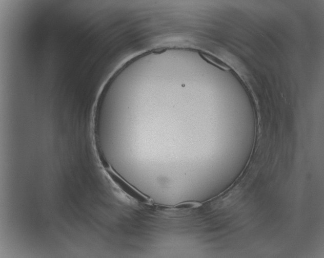 X0000073841392200608241005