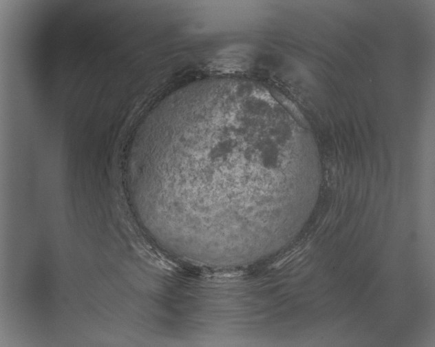 X0000073841393200608241004