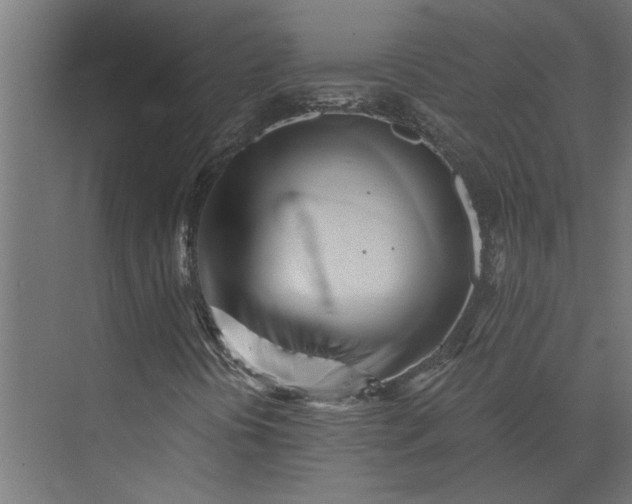 X0000073841394200608241004