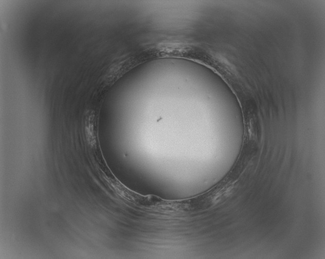 X0000073841396200608241004