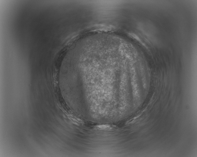 X0000073841399200608241004