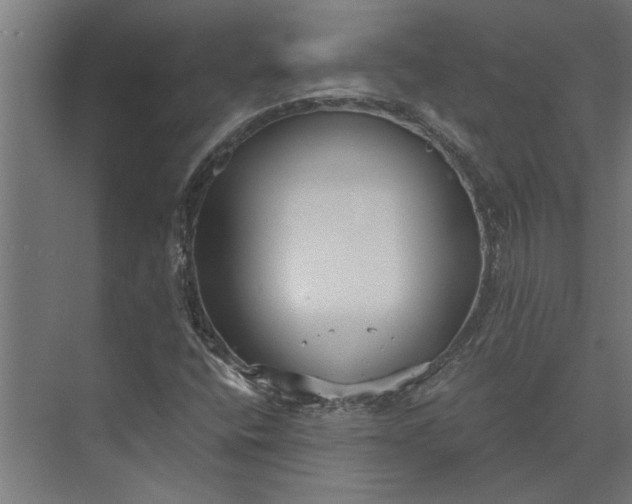 X0000073841400200608241004