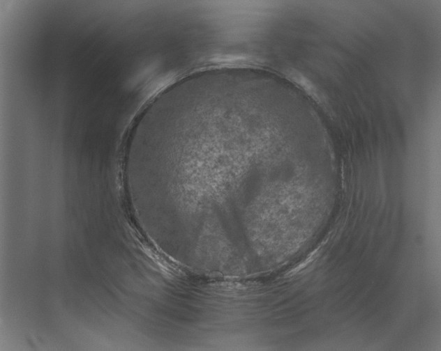 X0000073841405200608241005