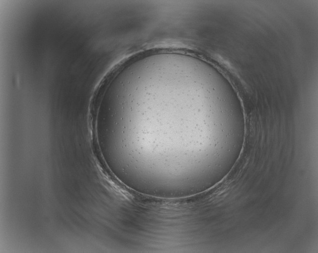 X0000073841408200608241005