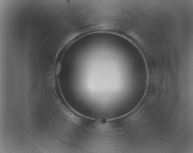 X0000073841410200608241005