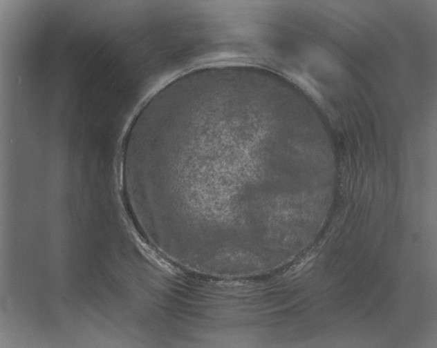 X0000073841413200608241005