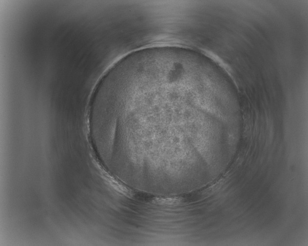 X0000073841415200608241005