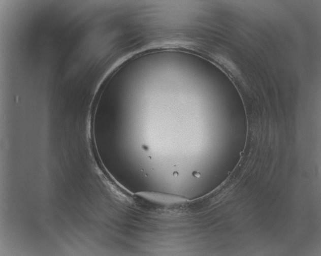 X0000073841420200608241005