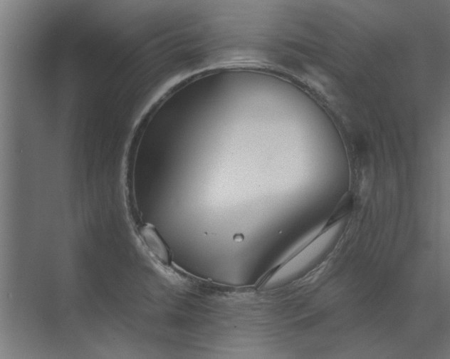 X0000073841422200608241005