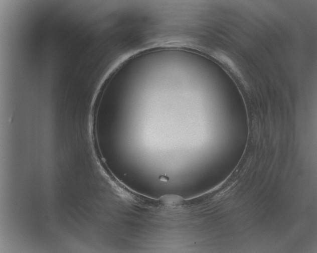 X0000073841424200608241005