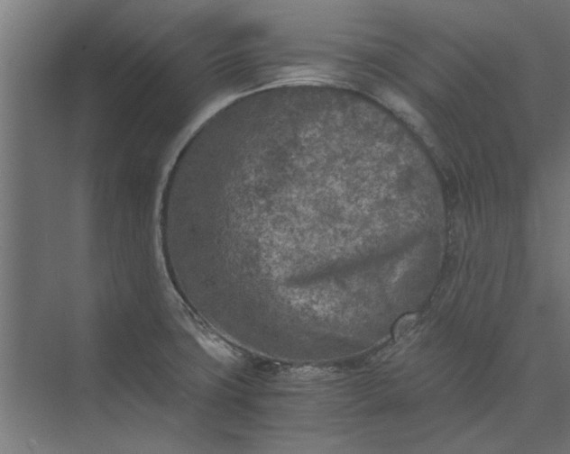 X0000073841427200608241005