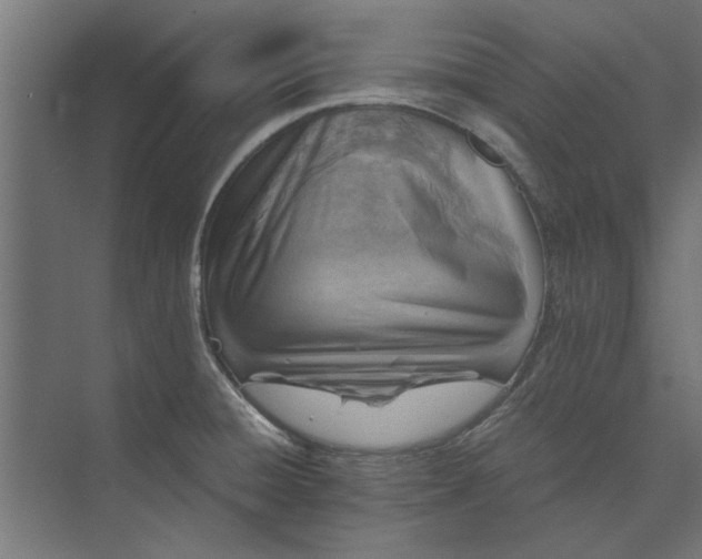 X0000073841428200608241005