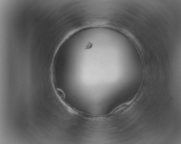 X0000073841432200608241005