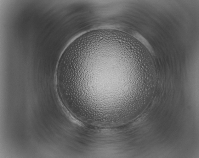 X0000073841436200608241005