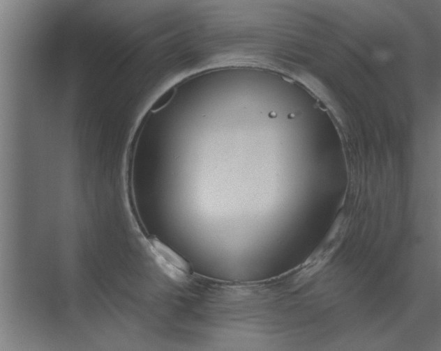 X0000073841438200608241005