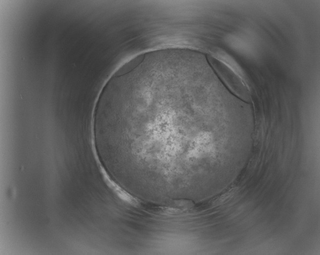 X0000073841439200608241005