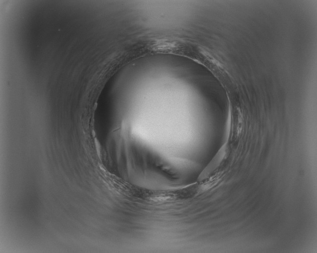 X0000073841441200608241004