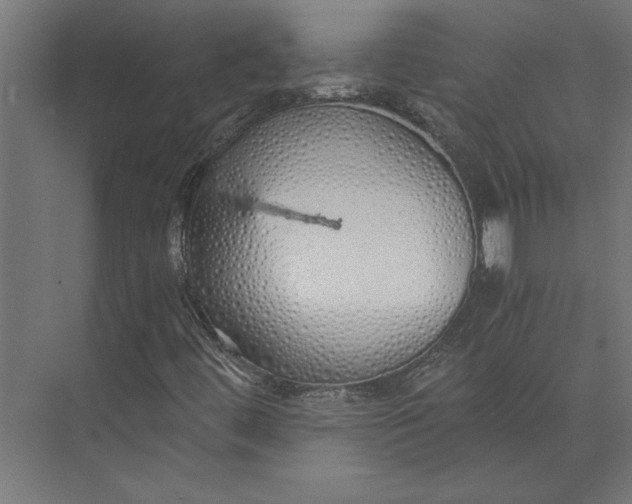 X0000073841444200608241004