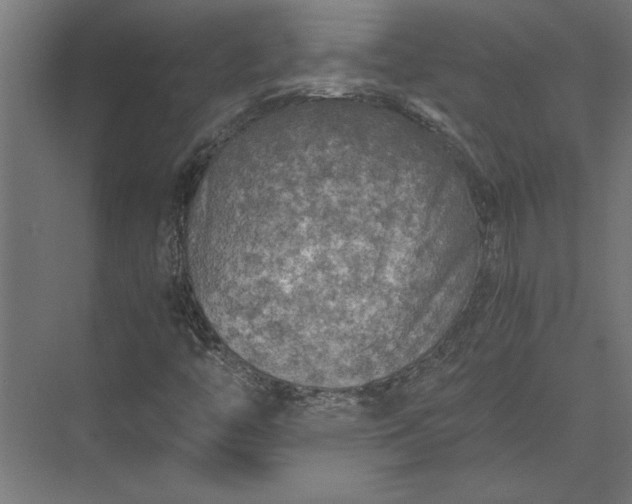 X0000073841446200608241004