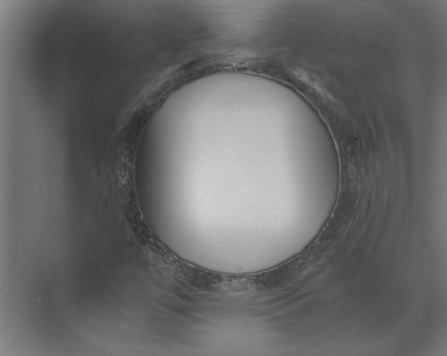 X0000073841447200608241004