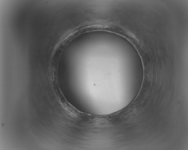 X0000073841448200608241004