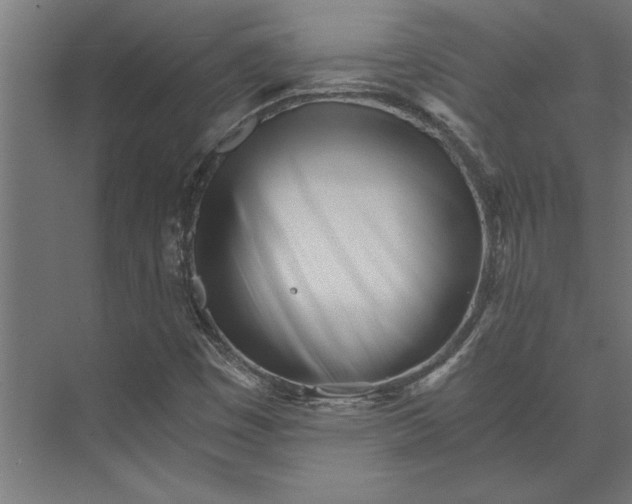 X0000073841449200608241004